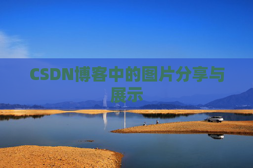 CSDN博客中的图片分享与展示